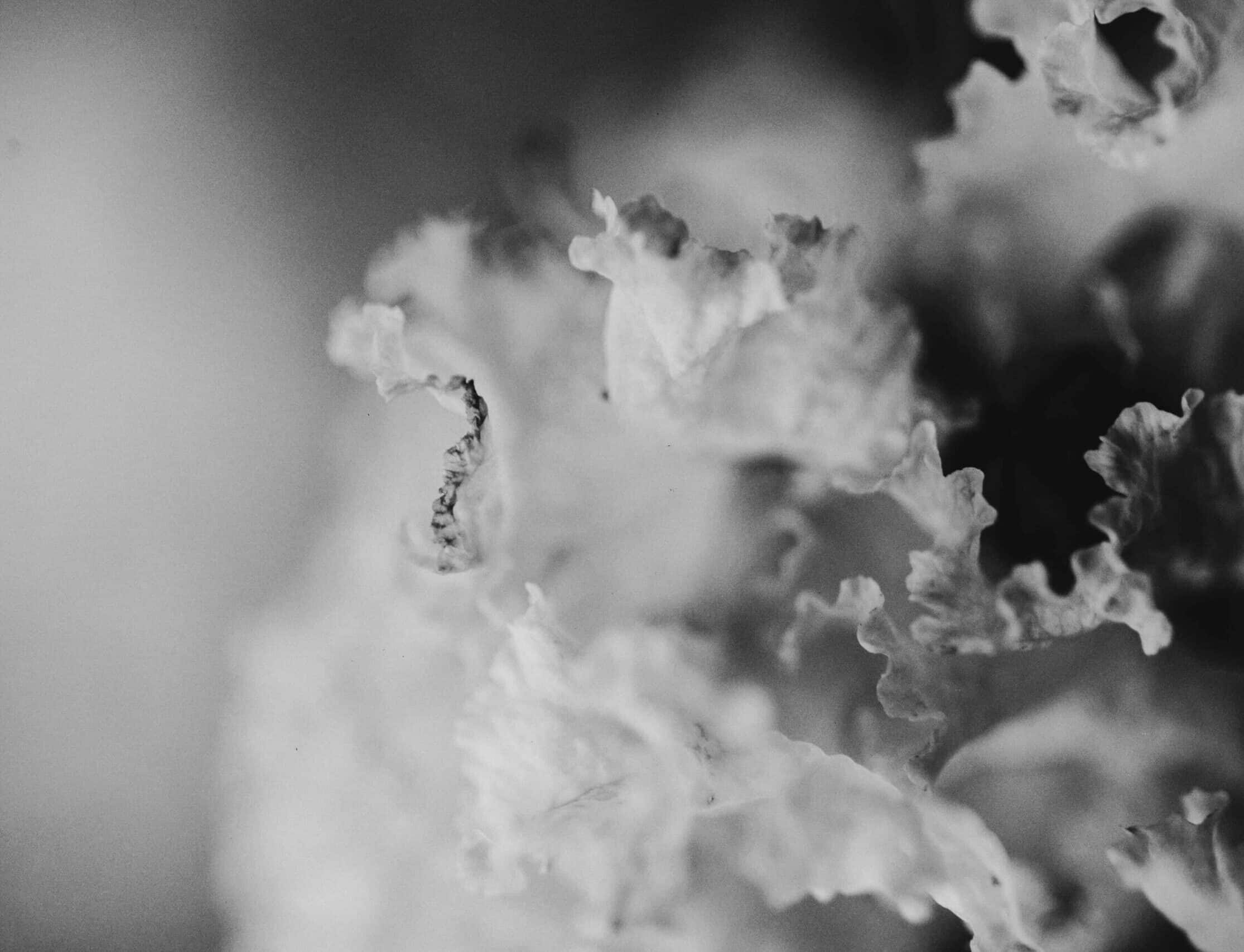 Naturopathe à Saintes